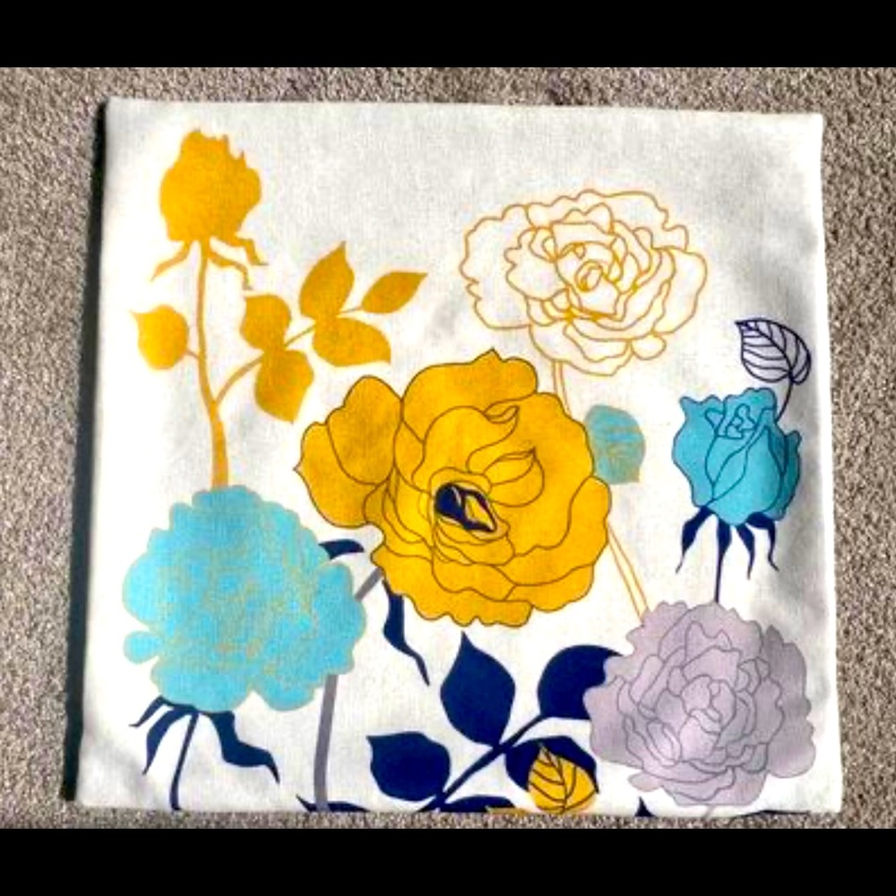 Indoor/Outdoor Pillow Covers (Set of 2)